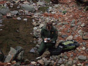 NPS staff measure water quality parameters throughout Bay Area parks.